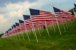 1500 Flags